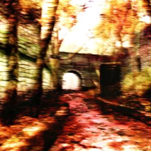 leaves (feat. not4them)