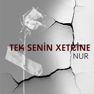 Tek Senin Xetrine