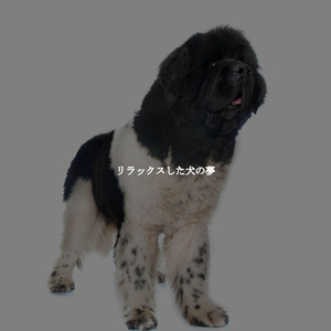 Casual Music for Coffee Energies