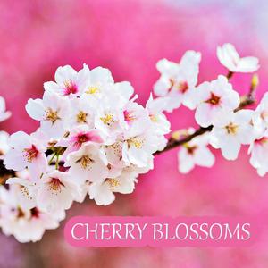 Cherry Blossoms (feat. DJB, 6t6 & Diamond Audio)