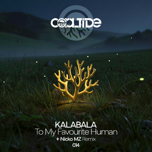 To My Favourite Human (Nicko MZ Remix)