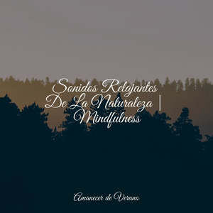 Perpetuidad Melódica