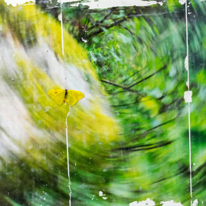 Manto (aquí no duele)