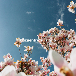 Smoky Music for Feel Good Mixes