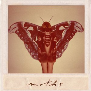 moths