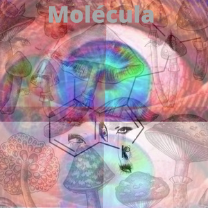 Molécula