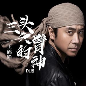 三头六臂的神（DJ版）