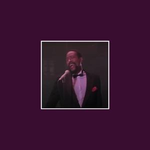 Sexual Healing (LoFly Edition)