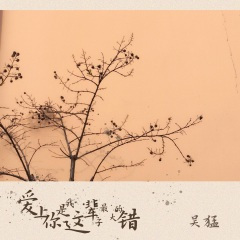 爱上你是我这辈子最大的错 (DJ可乐版)