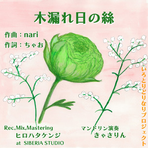 木漏れ日の絲