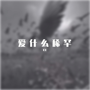 爱什么稀罕（KX remix）