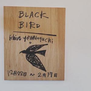 Black Bird（翻自 ぼくのりりっくのぼうよみ）