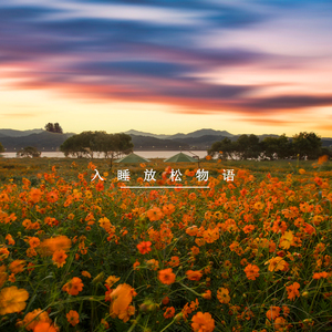 放空大脑思绪 (八音盒)