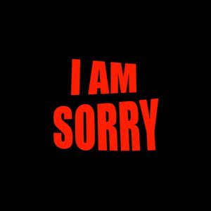 I am sorry