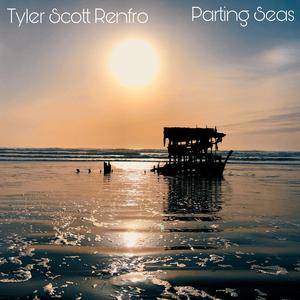 Lone Tree In An Open Field