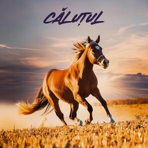 Căluțul