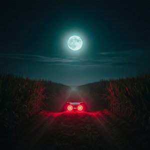 Crows in the Cornfield