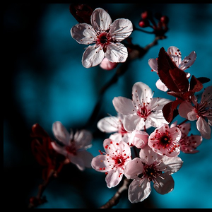 JSoul & Time Machine