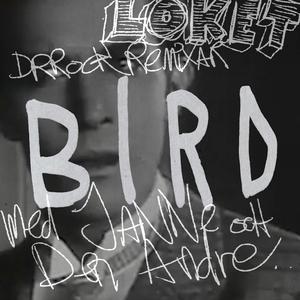 BIRD (feat. Loket & Janne) (remix)