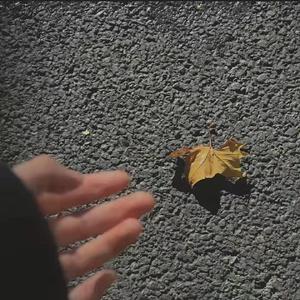 你要如何我们就如何