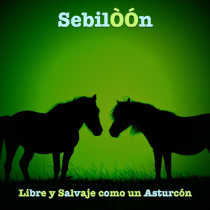 Libre y Salvaje como un Asturcón