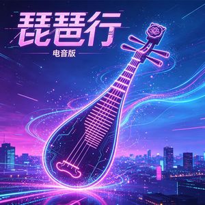 琵琶行（电音版伴奏）