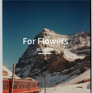 你是我的启明星