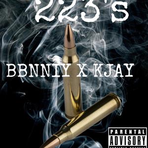 223's