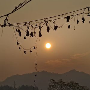 午夜放映厅