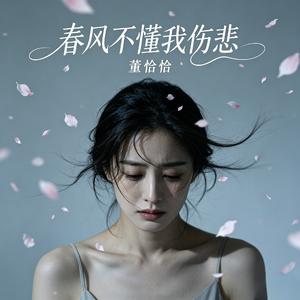 春风不懂我伤悲（董恰恰版） (完整版)