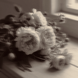 生まれて砕ける