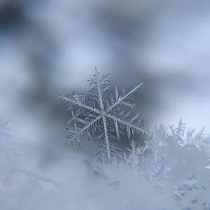 Froggy-东营下雪了吗（小破影子 remix）