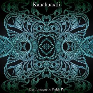 Electromagnetic Fields IV