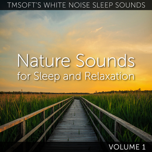 Bombay Hook Marshland Sunset