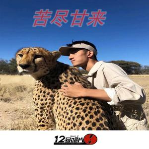 EA7无上荣耀