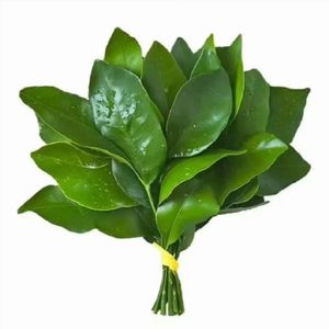 喧嚣与寒冷的温柔触点