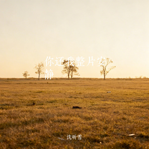 你还我整片安静