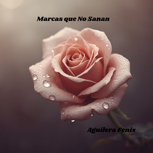 Marcas Que No Sanan