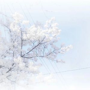 Horizon of Serenity（归途与启明）