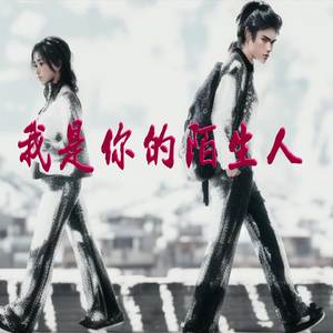 我是你的陌生人