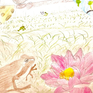 茶色のアマガエル (Orchestra ver.)