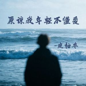 原谅我年轻不懂爱