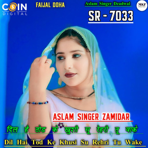 Aslam Singer SR 7033