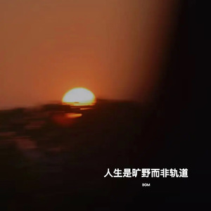 人生是旷野而非轨道