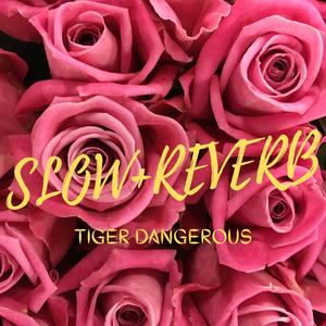 Tere Karke ( Slow & Reverb )