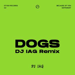D O G S（DJ IAG remix）