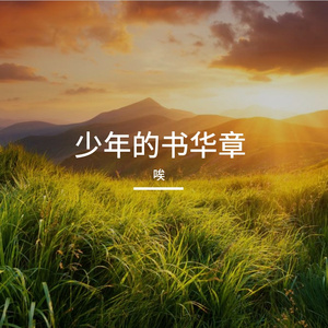 少年的书华章