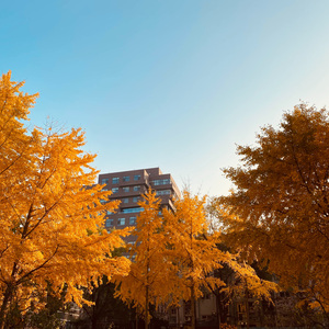 写给你的一首歌