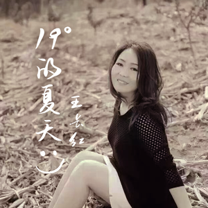 19°的夏天 - 男声版 伴奏