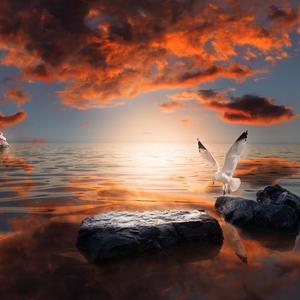 On the Surface (Radio Edit)